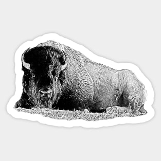 Lying bison Sticker